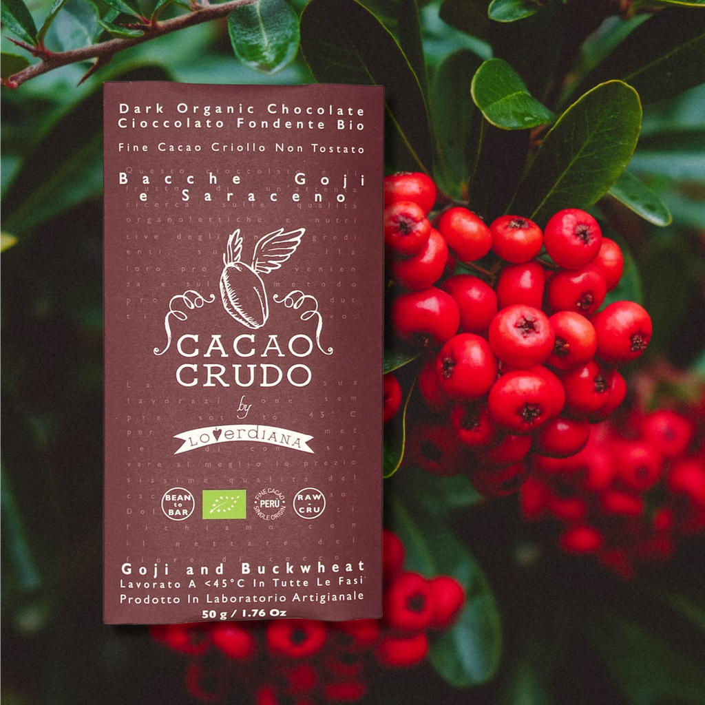 Cacao Crudo Raw tableta Chocolate con Goji y sarraceno 50g BIO