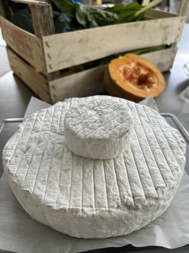 Fermaggio PRI Camembert style 1 kg Bio